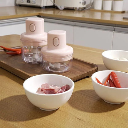 Mini food processor for chopping garlic and vegetables